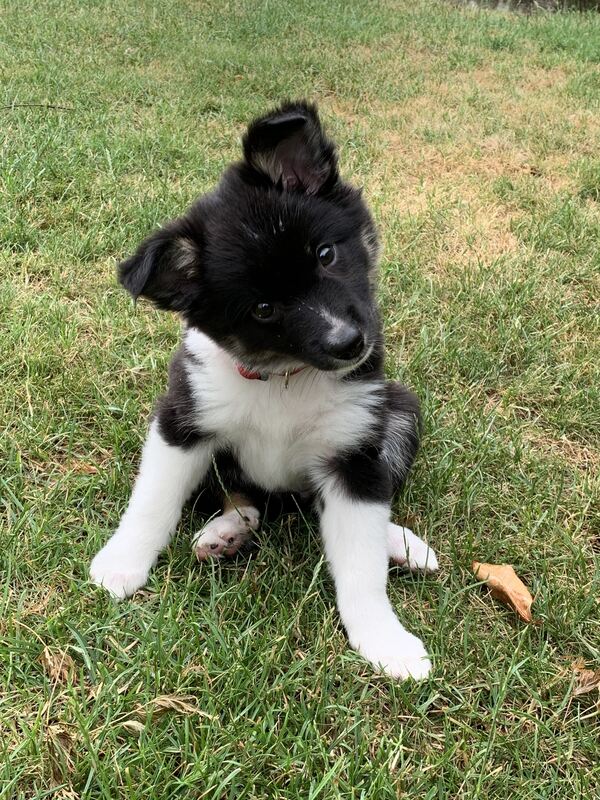 21 Nanu wie spannend ist das