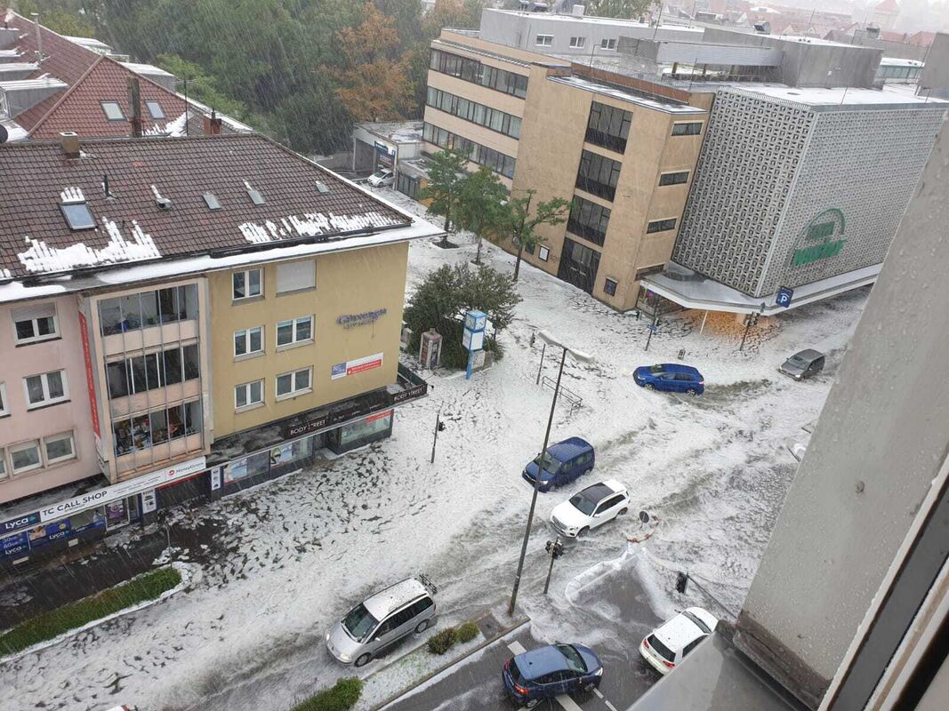 WhatsApp Image 2023-08-04 at 17.43.09 (2)