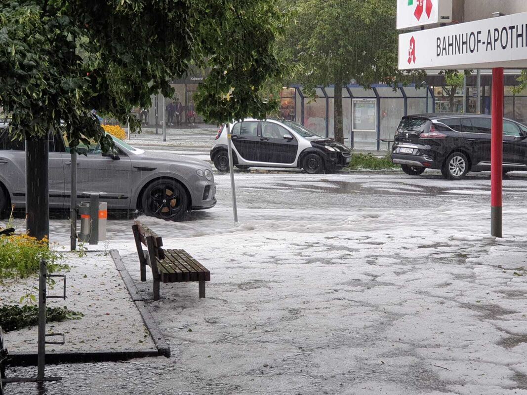 WhatsApp Image 2023-08-04 at 17.43.09