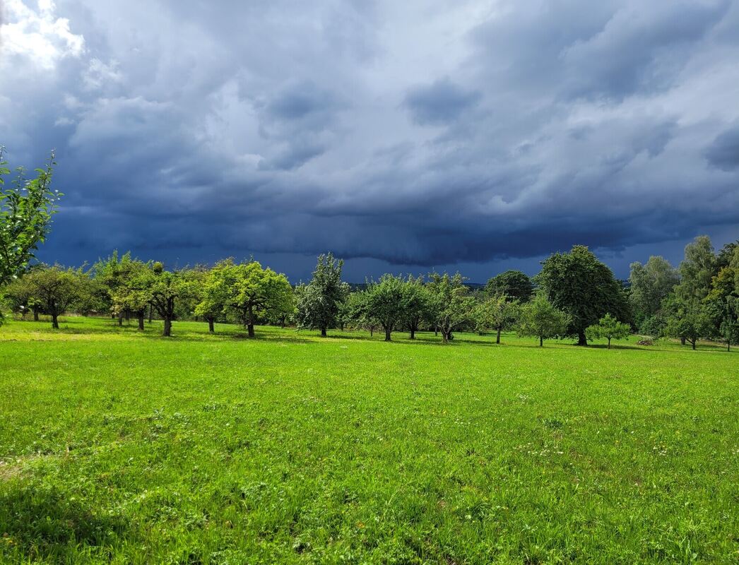 Foto Schafstall Richtung Ohmenhausen-Tübingen 4.8.23 ca. 16Uhr