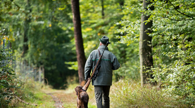 Wenn Hunde gut geführt werden, sind sie für die Jagd und Freiheit gut gerüstet. FOTO: DPA