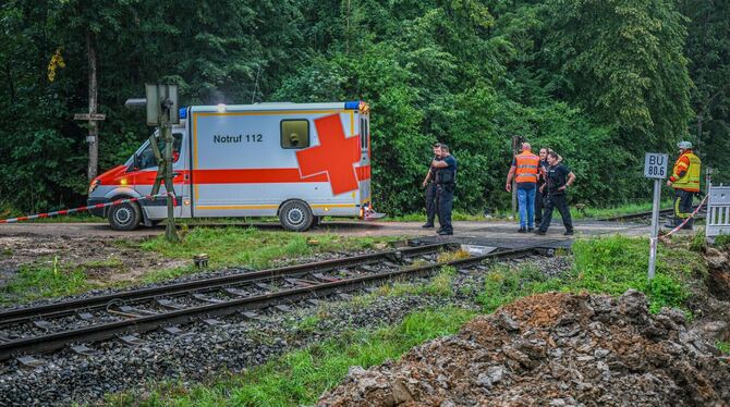 Schaden an der Oberleitung - Zug mit 100 Reisenden evakuiert