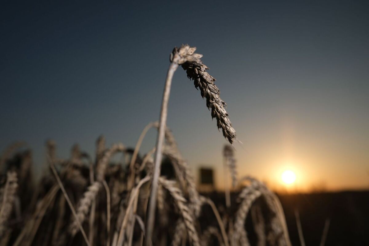 Verschoben Verschoben