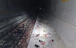 Güterzug-Unfall im Gotthard-Basistunnel