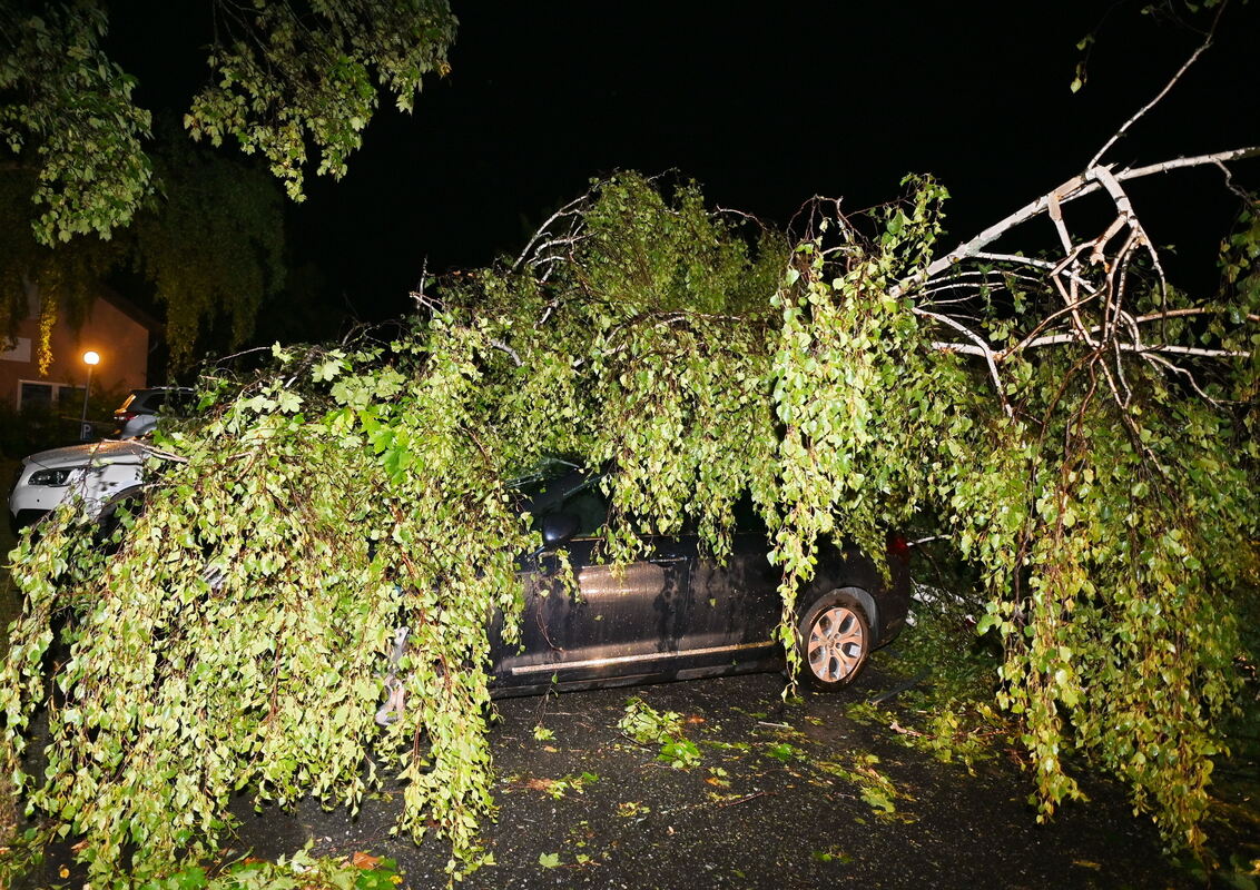 Birke stürzt in Talheim auf vier Auto und beschädigt sie FOTO MEYER_5033