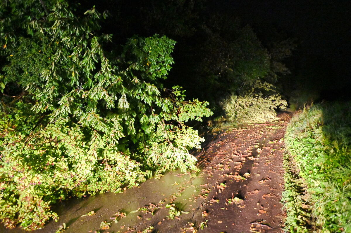 Unpassierbare Straße in Talheim FOTO MEYER 5029