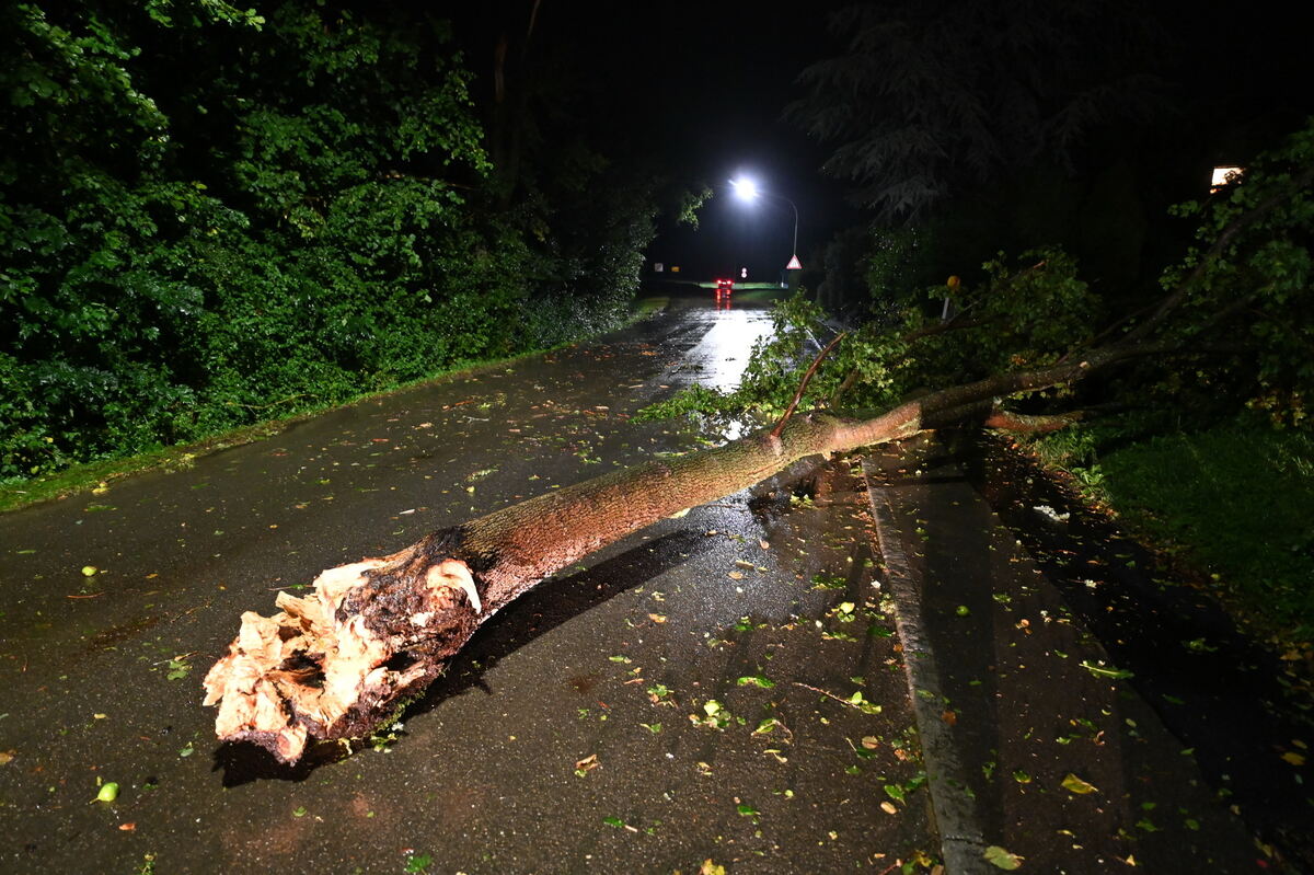 Verbindungsstraße von Talheim zum Sportplatz FOTO MEYER5010