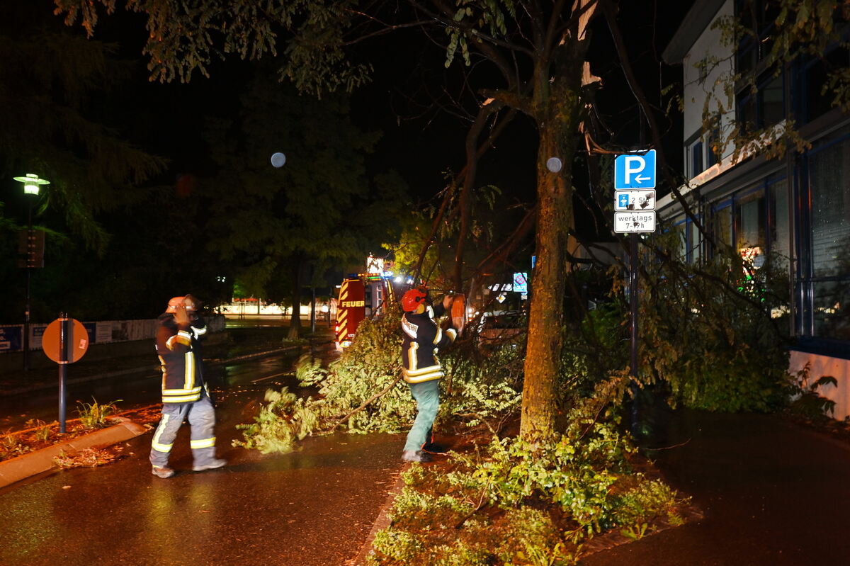 Mit der Kettensäge rücken Mössinger Feuerwehrmänner einem Baum in der Stadtmitte zu Leibe FOTO MEYER4990