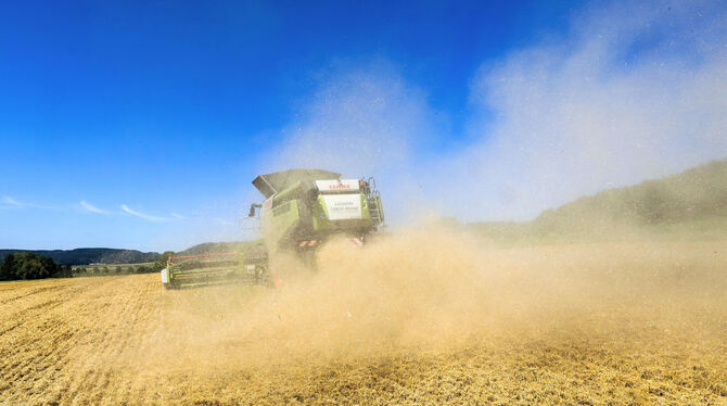 Die Bauern ernten dieses Jahr drei Prozent weniger Getreide als 2022. FOTO: WARNACK/DPA