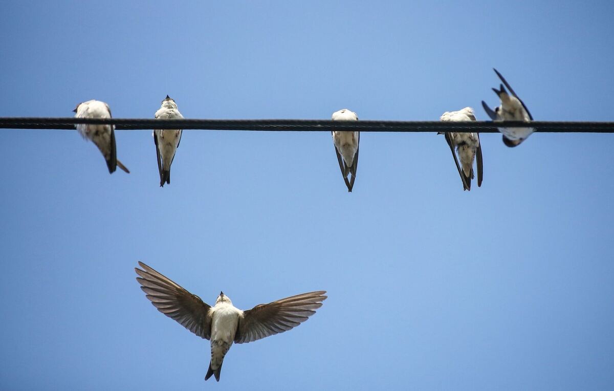 Vor der Abreise Vor der Abreise