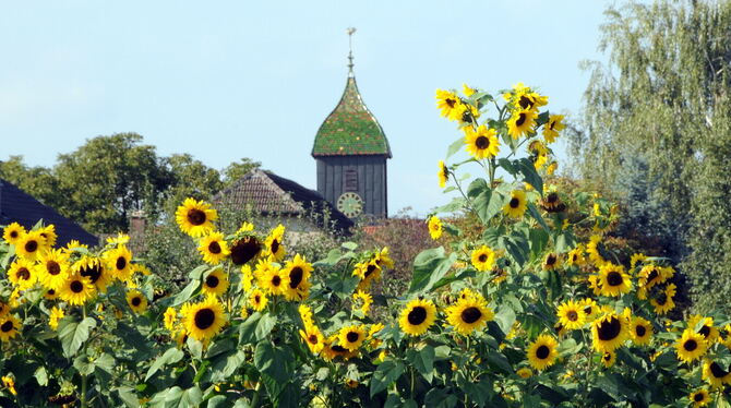 kirche Wer den höchsten Punkt sucht, denkt oft an Kirchtürme (wie hier in Wankheim). Aber im vorliegenden Fall rivalisieren die Erddep