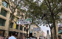 Protest gegen das Fällen von Platanen in Karlsruhe