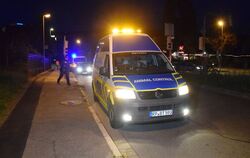 Polizei verfolgt randalierendes Wildschwein in Heidelberg