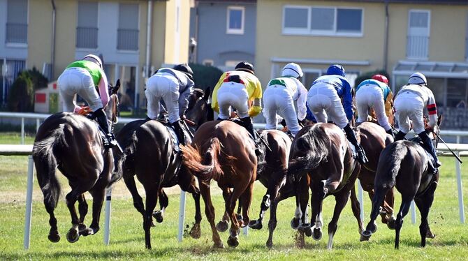 Große Woche Iffezheim