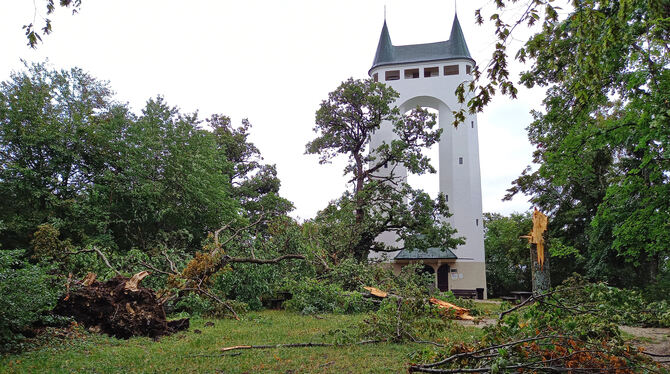 Auch rund um den Pfullinger Schönbergturm konnten viele Bäume dem Sturm nicht standhalten. Der Turm selbst wurde nicht beschädig