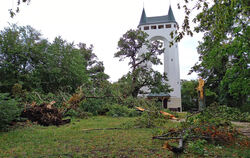 Auch rund um den Pfullinger Schönbergturm konnten viele Bäume dem Sturm nicht standhalten. Der Turm selbst wurde nicht beschädig