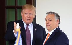 Trump + Orban