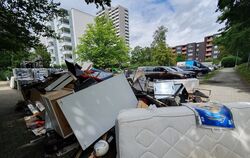 Illegale Müllablagerungen im Tübinger Stadtgebiet.