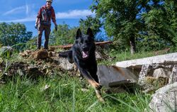 Bundessiegerprüfung für Rettugshunde
