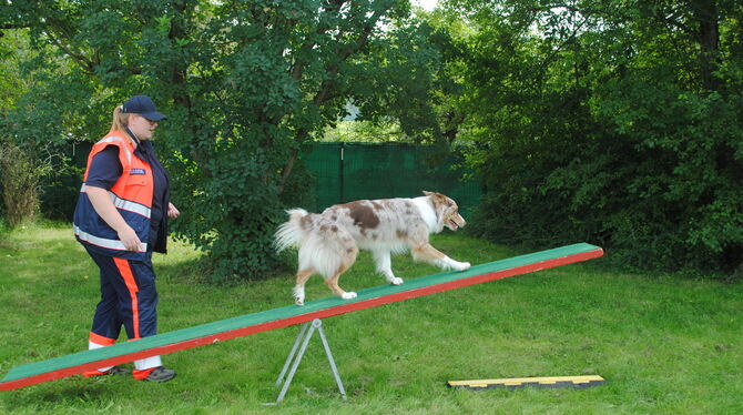 Jessica Junger von der Malteser Rettungshundestaffel durchläuft mit ihrem Hund Ruffy den Trainingsparcours.