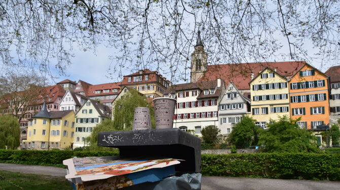 Durch die Verpackungssteuer hat der Müll in Tübingen  abgenommen.