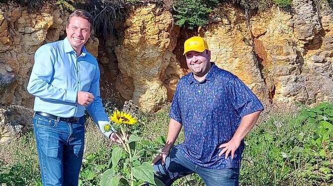 Eine Sonnenblume hat sich einen Platz im Schotterwerk in Genkingen erobert. Auf dem Gelände gibt es aber weit mehr Biotope für P