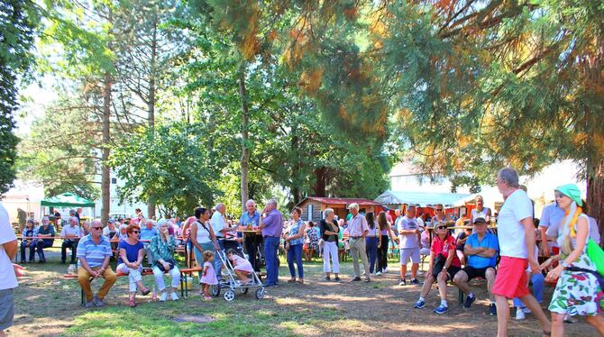 Hunderte kamen bei herrlichem Wetter zum  Schlösslesparkfest.