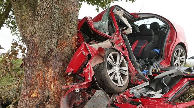 Autofahrer fährt gegen Baum und stirbt