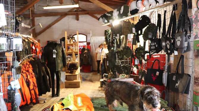 Dackel Igor braucht eine Jagdbekleidung.