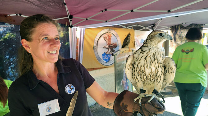 Der Falke ist der Star der Messe.