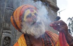 Cannabis - Nepal