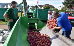 Obstanlieferung in Mössingen: Äpfel aus den Streuobstwiesen werden auf die Waage gekippt und später zu Saft verarbeitete.