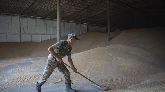 Ein Arbeiter harkt Weizen in einem Getreidespeicher auf einem privaten Bauernhof in der Region Kiew. Die Ukraine setzt ihren Kam