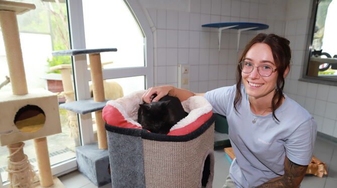 Tierhelferin Jasmin Riekert kümmert sich um Seniorenkatzen wie Polly. Dabei braucht sie Unterstützung.  FOTO: REISNER