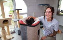 Tierhelferin Jasmin Riekert kümmert sich um Seniorenkatzen wie Polly. Dabei braucht sie Unterstützung.  FOTO: REISNER