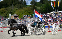 Die Friesen überzeugen mit Eleganz: Die niederländischen Gäste und ihre Pferde waren der Höhepunkt der Marbacher Hengstparade.  
