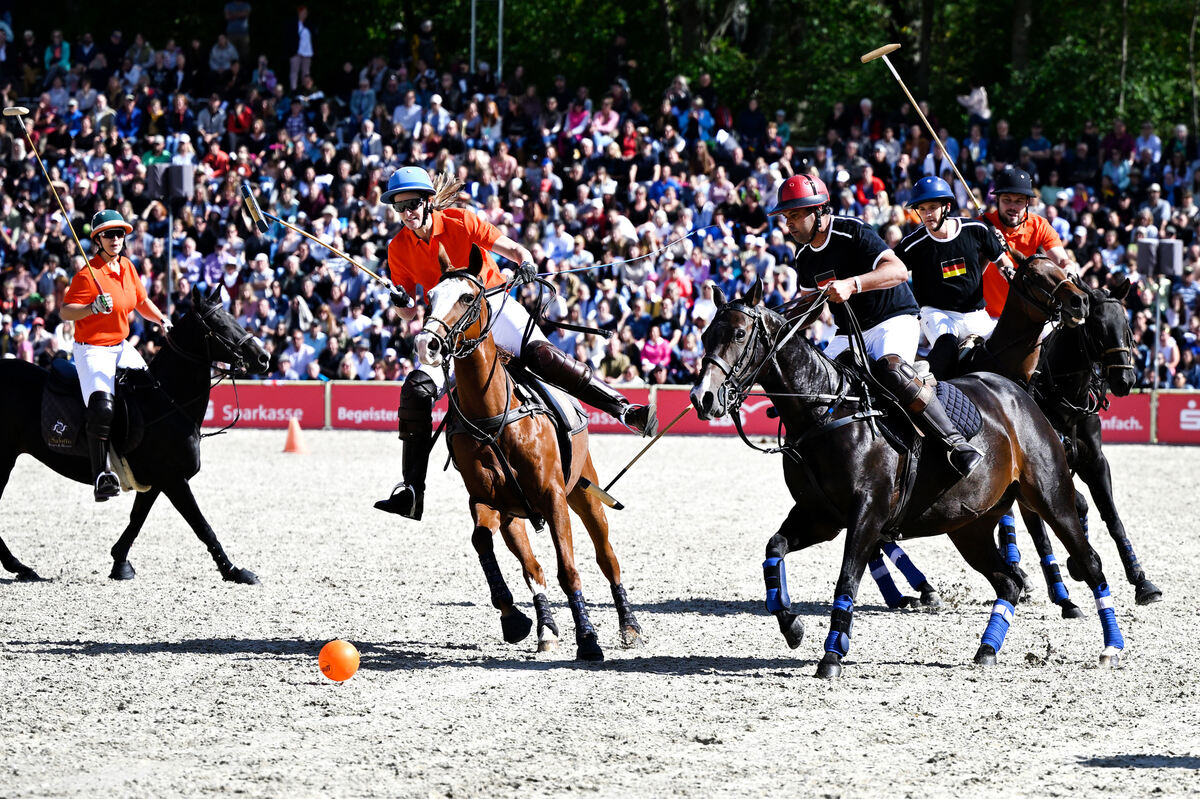 hengstparade_marbach_2023_pieth_38