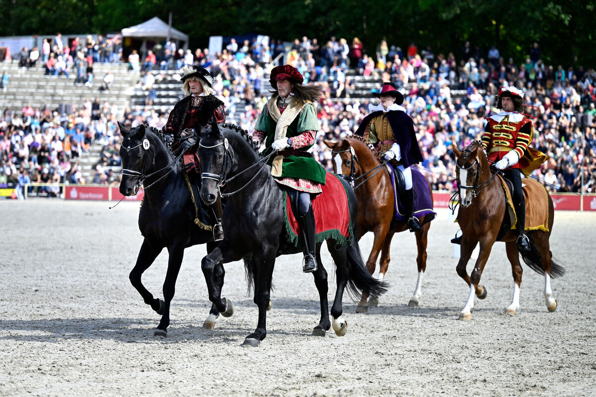 hengstparade_marbach_2023_pieth_41