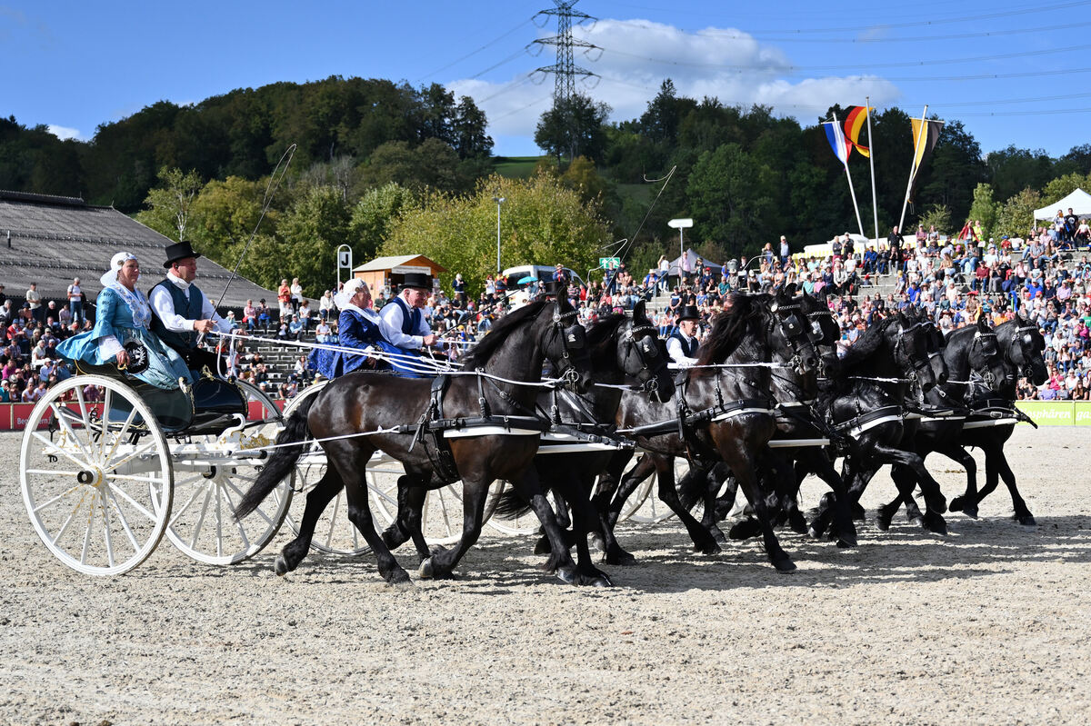 hengstparade_marbach_2023_pieth_83