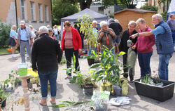 Beliebter Treffpunkt für Menschen mit dem grünen Daumen: die Pflanzentauschbörse in Engstingen.  FOTO: LEIPPERT