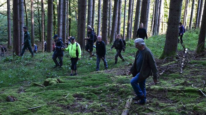 Über 200 Freiwillige suchen vermisste 15-Jährige im Elsass