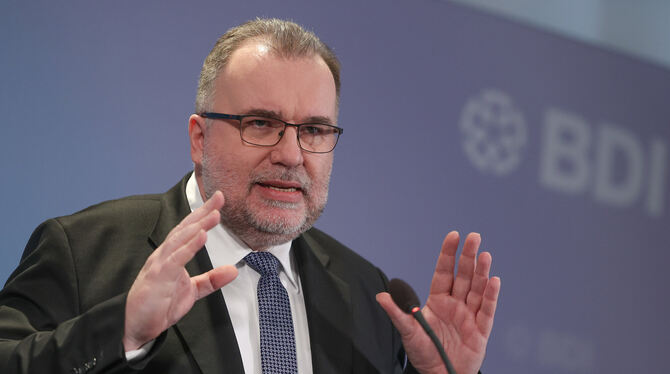 Siegfried Russwurm, Präsident vom Bundesverband der Deutschen Industrie (BDI), spricht auf einer Pressekonferenz zur Lage der de