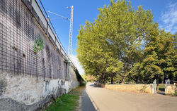 Weil die marode Bahn-Stützmauer erneuert wird, müssen die Platanen auf dem Betzinger Friedhof gefällt werden: Sie stören bei den