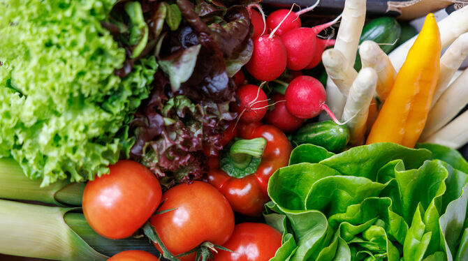 Der zufällig und bunt zusammengewürfelte Bürgerrat beschäftigt sich mit dem Thema »Ernährung im Wandel«