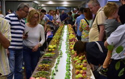 Über 2000 Apfelsorten gibt es hierzulande. In Mössingen waren über hundert lokal wachsende Sorten ausgestellt. FOTO: MEYER