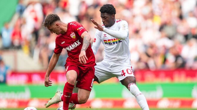1. FC Köln - VfB Stuttgart 1. FC Köln - VfB Stuttgart