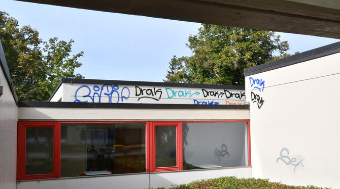 Farbschmierereien verunzieren einige Fassadenteile der Minna-Specht-Gemeinschaftsschule. Entfernt werden sie derzeit nicht - wei
