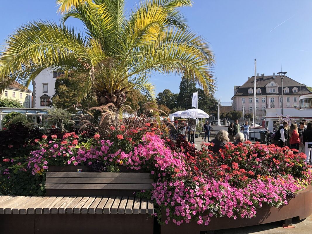 2023-10-6_Leserfahrt-Lindau-Warhol_Iris Goldack (12)