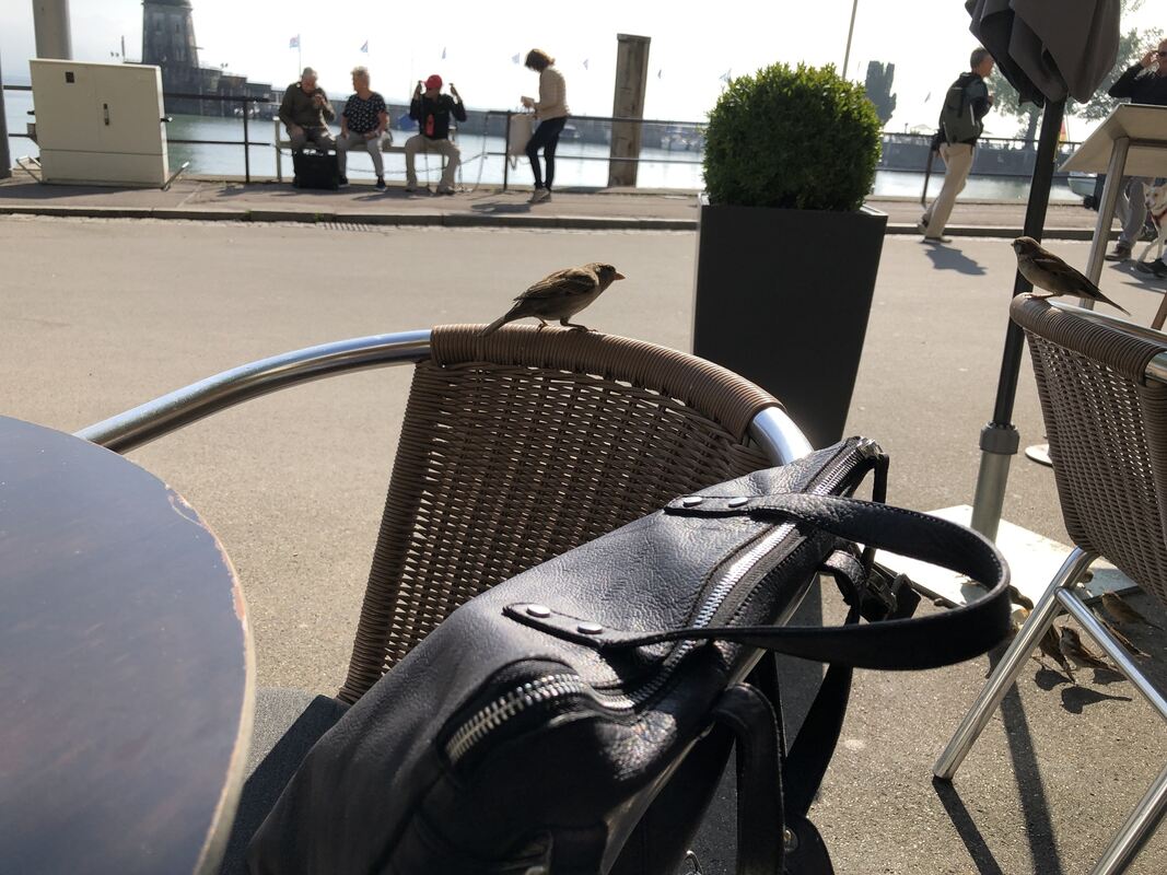 2023-10-6_Leserfahrt-Lindau-Warhol_Iris Goldack (15)