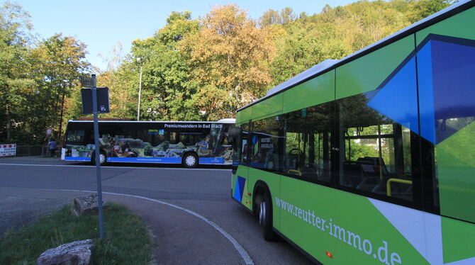 Zwei Busse des Uracher Stadtverkehrs an der Endhaltestelle Hans-Reyhing-Weg.